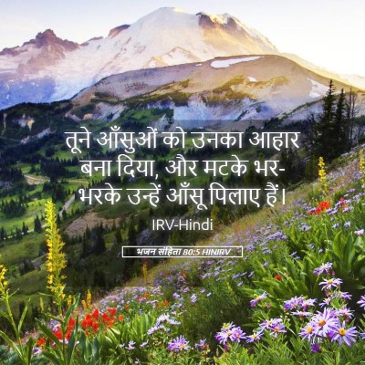 Picture 05 - भजन संहिता 80:5 HINIRV - तूने आँसुओं को - Bible Verse Picture
