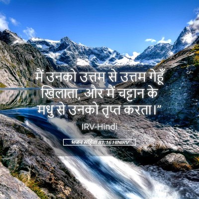 Picture 05 - भजन संहिता 81:16 HINIRV - मैं उनको उत्तम से - Bible Verse Picture
