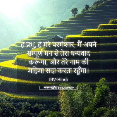 Picture 05 - भजन संहिता 86:12 HINIRV - हे प्रभु, हे मेरे - Bible Verse Picture