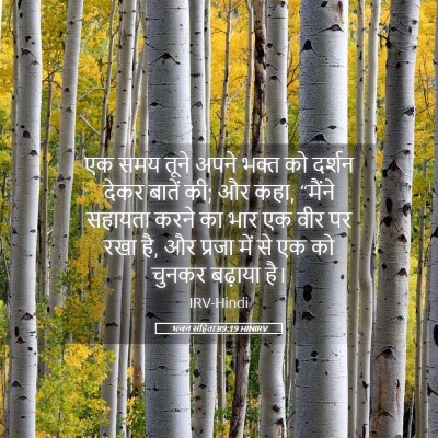 Picture 05 - भजन संहिता 89:19 HINIRV - एक समय तूने अपने - Bible Verse Picture