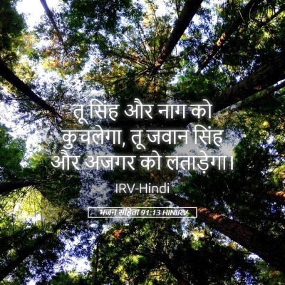 Picture 05 - भजन संहिता 91:13 HINIRV - तू सिंह और नाग को - Bible Verse Picture