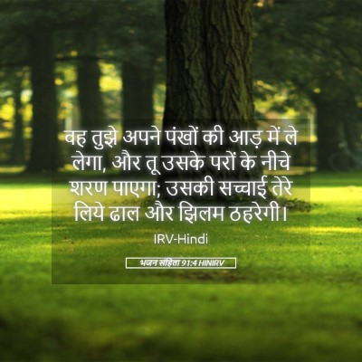 Picture 05 - भजन संहिता 91:4 HINIRV - वह तुझे अपने पंखों - Bible Verse Picture