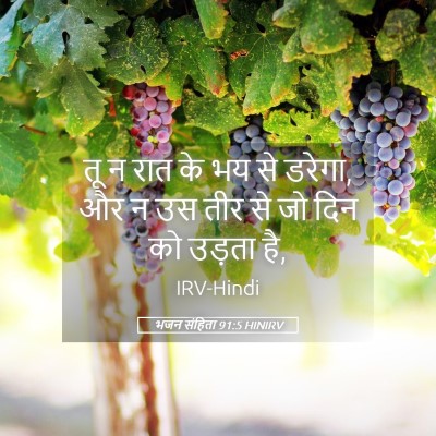 Picture 05 - भजन संहिता 91:5 HINIRV - तू न रात के भय से - Bible Verse Picture