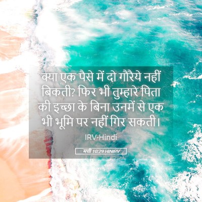 Picture 05 - मत्ती 10:29 HINIRV - क्या एक पैसे में दो - Bible Verse Picture