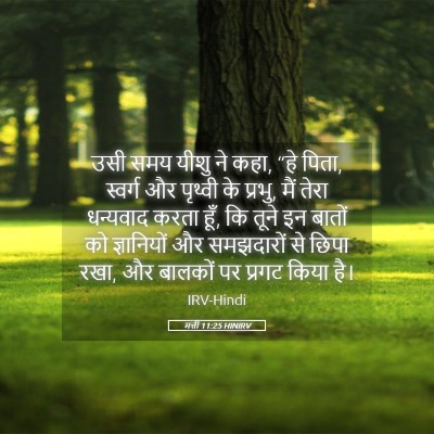 Picture 05 - मत्ती 11:25 HINIRV - उसी समय यीशु ने - Bible Verse Picture