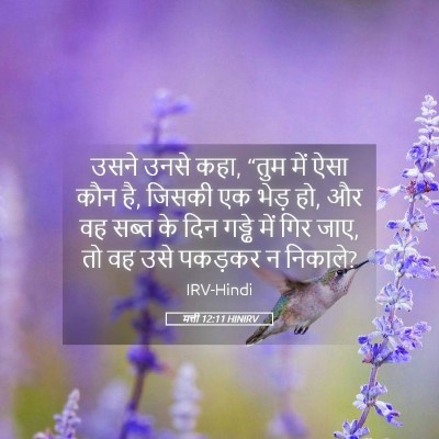 Picture 05 - मत्ती 12:11 HINIRV - उसने उनसे कहा, “तुम - Bible Verse Picture