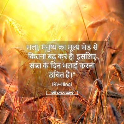 Picture 05 - मत्ती 12:12 HINIRV - भला, मनुष्य का - Bible Verse Picture