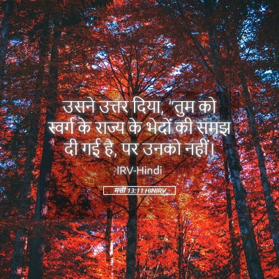 Picture 05 - मत्ती 13:11 HINIRV - उसने उत्तर दिया, - Bible Verse Picture