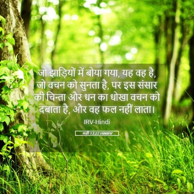 Picture 05 - मत्ती 13:22 HINIRV - जो झाड़ियों में - Bible Verse Picture