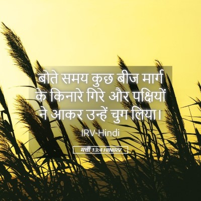 Picture 05 - मत्ती 13:4 HINIRV - बोते समय कुछ बीज - Bible Verse Picture
