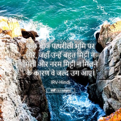 Picture 05 - मत्ती 13:5 HINIRV - कुछ बीज पत्थरीली - Bible Verse Picture