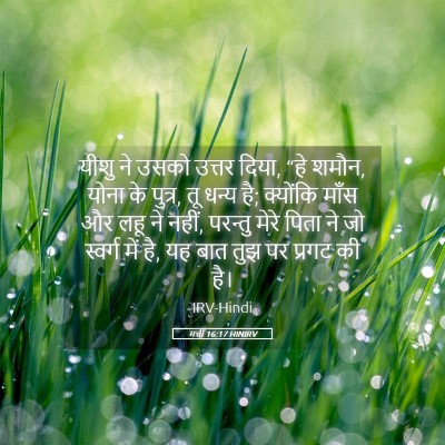 Picture 05 - मत्ती 16:17 HINIRV - यीशु ने उसको उत्तर - Bible Verse Picture