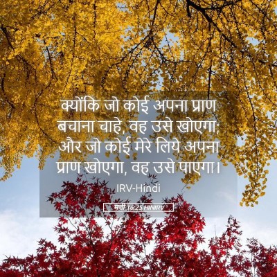 Picture 05 - मत्ती 16:25 HINIRV - क्योंकि जो कोई - Bible Verse Picture