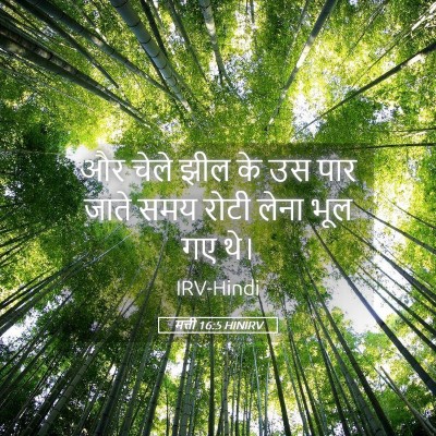 Picture 05 - मत्ती 16:5 HINIRV - और चेले झील के उस - Bible Verse Picture