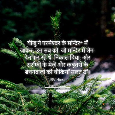 Picture 05 - मत्ती 21:12 HINIRV - यीशु ने परमेश्‍वर - Bible Verse Picture
