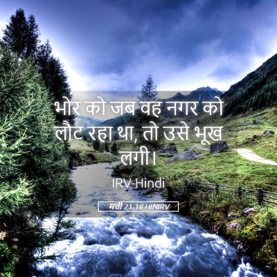 Picture 05 - मत्ती 21:18 HINIRV - भोर को जब वह नगर को - Bible Verse Picture