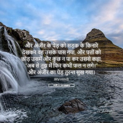 Picture 05 - मत्ती 21:19 HINIRV - और अंजीर के पेड़ को - Bible Verse Picture
