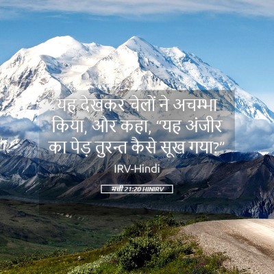 Picture 05 - मत्ती 21:20 HINIRV - यह देखकर चेलों ने - Bible Verse Picture