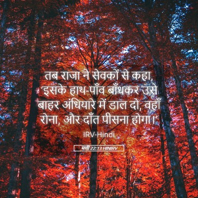 Picture 05 - मत्ती 22:13 HINIRV - तब राजा ने सेवकों - Bible Verse Picture