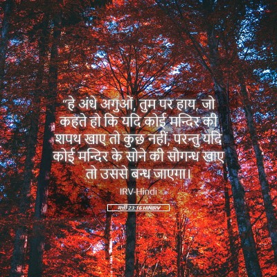 Picture 05 - मत्ती 23:16 HINIRV - “हे अंधे अगुओं, तुम - Bible Verse Picture