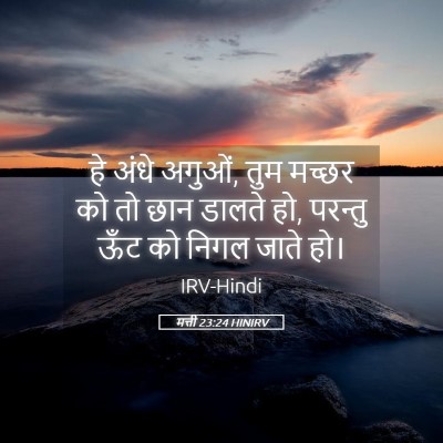 Picture 05 - मत्ती 23:24 HINIRV - हे अंधे अगुओं, तुम - Bible Verse Picture