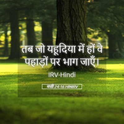 Picture 05 - मत्ती 24:16 HINIRV - तब जो यहूदिया में - Bible Verse Picture