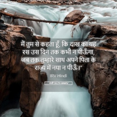 Picture 05 - मत्ती 26:29 HINIRV - मैं तुम से कहता - Bible Verse Picture