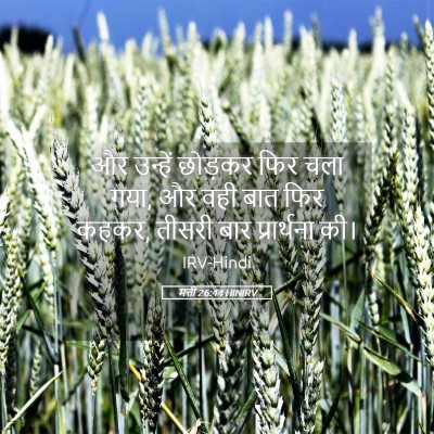 Picture 05 - मत्ती 26:44 HINIRV - और उन्हें छोड़कर - Bible Verse Picture