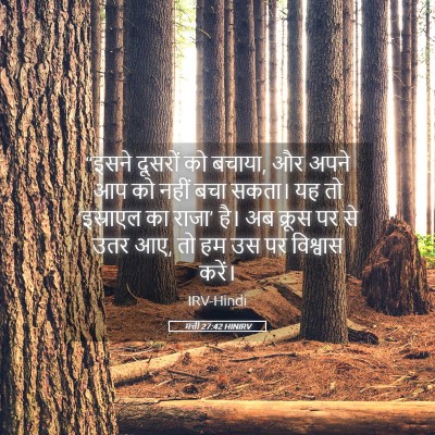 Picture 05 - मत्ती 27:42 HINIRV - “इसने दूसरों को - Bible Verse Picture