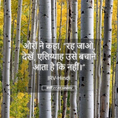 Picture 05 - मत्ती 27:49 HINIRV - औरों ने कहा, “रह - Bible Verse Picture