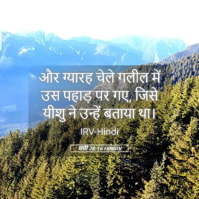 Picture 05 - मत्ती 28:16 HINIRV - और ग्यारह चेले - Bible Verse Picture