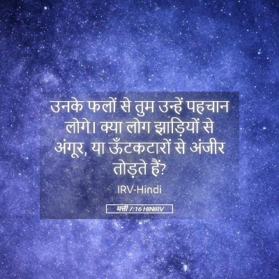Picture 05 - मत्ती 7:16 HINIRV - उनके फलों से तुम - Bible Verse Picture