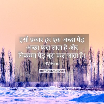 Picture 05 - मत्ती 7:17 HINIRV - इसी प्रकार हर एक - Bible Verse Picture