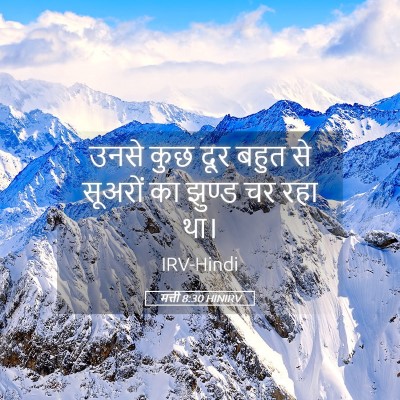 Picture 05 - मत्ती 8:30 HINIRV - उनसे कुछ दूर बहुत - Bible Verse Picture