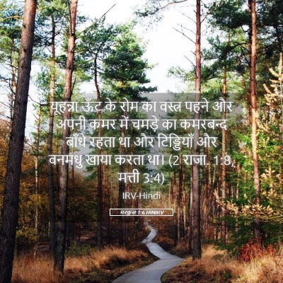 Picture 05 - मरकुस 1:6 HINIRV - यूहन्ना ऊँट के रोम - Bible Verse Picture
