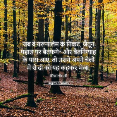 Picture 05 - मरकुस 11:1 HINIRV - जब वे यरूशलेम के - Bible Verse Picture