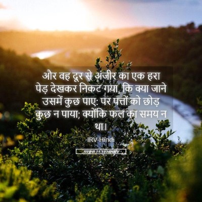 Picture 05 - मरकुस 11:13 HINIRV - और वह दूर से अंजीर - Bible Verse Picture