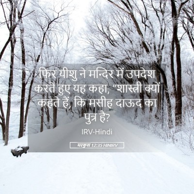 Picture 05 - मरकुस 12:35 HINIRV - फिर यीशु ने मन्दिर - Bible Verse Picture