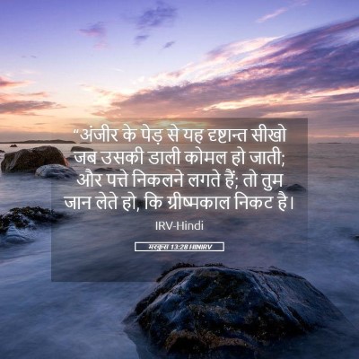 Picture 05 - मरकुस 13:28 HINIRV - “अंजीर के पेड़ से - Bible Verse Picture