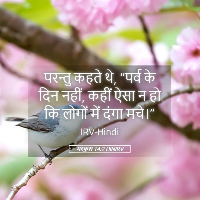 Picture 05 - मरकुस 14:2 HINIRV - परन्तु कहते थे, - Bible Verse Picture