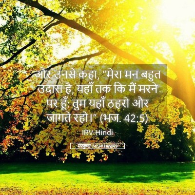 Picture 05 - मरकुस 14:34 HINIRV - और उनसे कहा, “मेरा - Bible Verse Picture