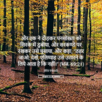 Picture 05 - मरकुस 15:36 HINIRV - और एक ने दौड़कर - Bible Verse Picture