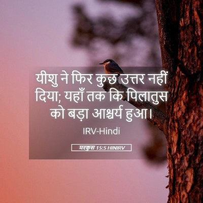 Picture 05 - मरकुस 15:5 HINIRV - यीशु ने फिर कुछ - Bible Verse Picture