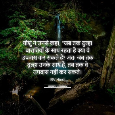 Picture 05 - मरकुस 2:19 HINIRV - यीशु ने उनसे कहा, - Bible Verse Picture