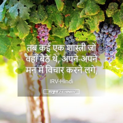 Picture 05 - मरकुस 2:6 HINIRV - तब कई एक शास्त्री - Bible Verse Picture