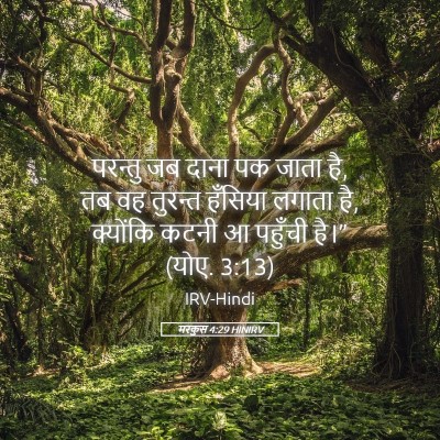 Picture 05 - मरकुस 4:29 HINIRV - परन्तु जब दाना पक - Bible Verse Picture