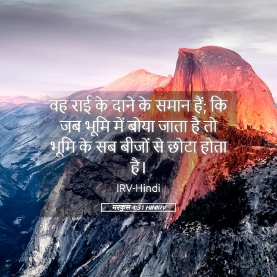 Picture 05 - मरकुस 4:31 HINIRV - वह राई के दाने के - Bible Verse Picture