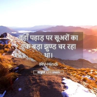 Picture 05 - मरकुस 5:11 HINIRV - वहाँ पहाड़ पर - Bible Verse Picture
