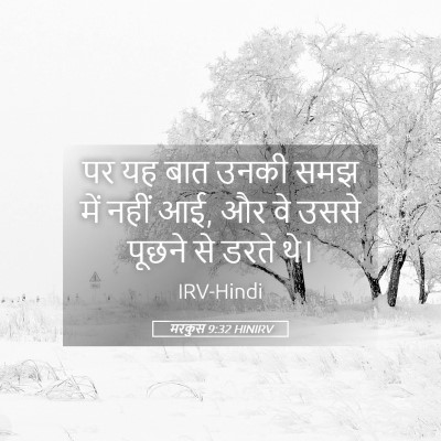 Picture 05 - मरकुस 9:32 HINIRV - पर यह बात उनकी समझ - Bible Verse Picture