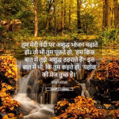 Picture 05 - मलाकी 1:7 HINIRV - तुम मेरी वेदी पर - Bible Verse Picture